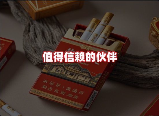 专业团队